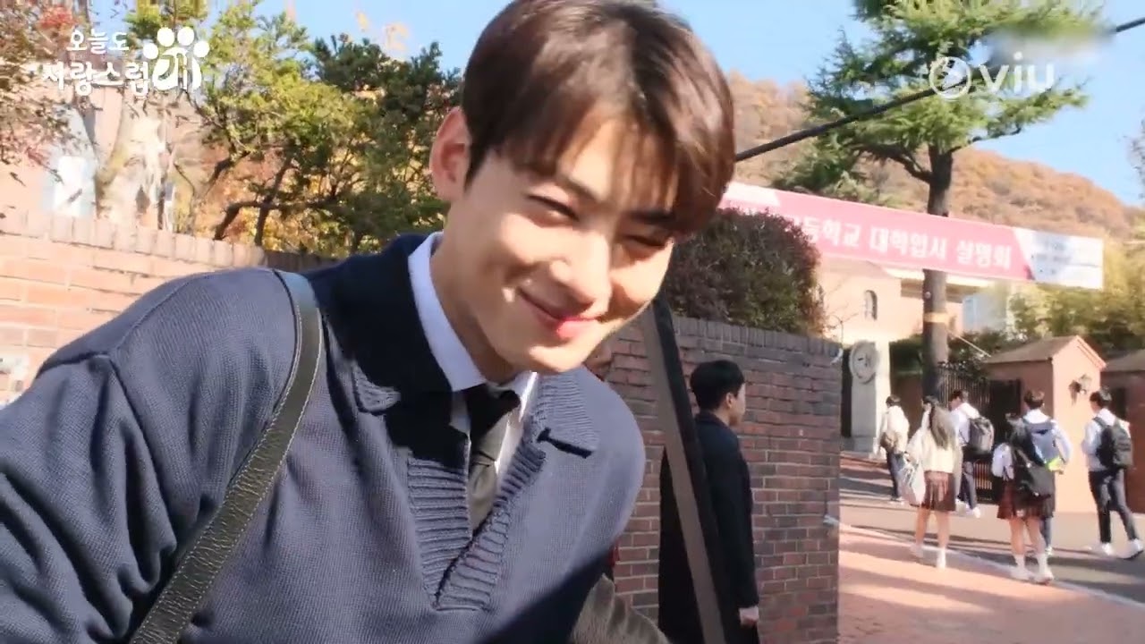 [BTS] Ep 3 Making | Viu Original, A Good Day to be a Dog 🐾