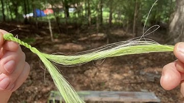 Making Yucca Cordage For A Bow Drill Bowstring And Trying It Out