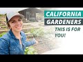 5 musthave tips for california vegetable gardeners in zone 9