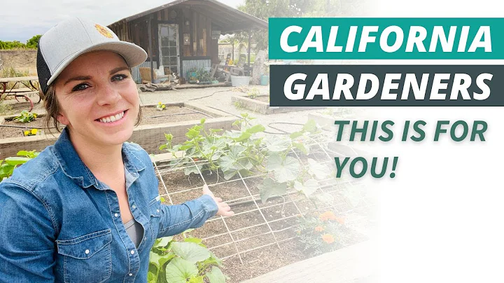 5 Must-Have Tips for California Vegetable Gardeners in Zone 9!