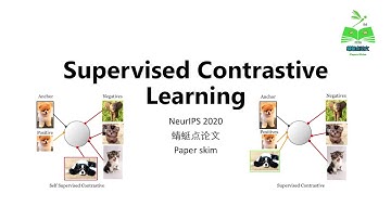【蜻蜓点论文】Supervised Contrastive Learning
