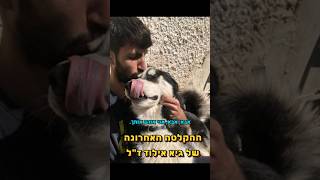 ההקלטה האחרונה של גיא אילוז הי"ד