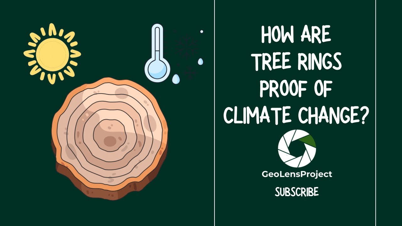 How are tree rings proof of climate change? - YouTube