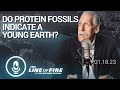 Do Protein Fossils Indicate a Young Earth?