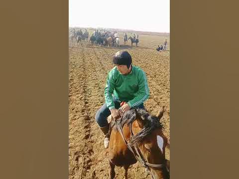 петнашка - YouTube