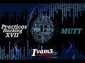 Practica XVII - Mutt : Envio De Correo Electrónico Desde Termux