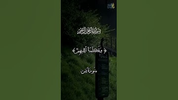 اليوم نختم على افواههم وتكلمنا ايديهم #تلاوات_خاشعة #راحة_نفسية #احمد_العجمي #القرآن_الكريم