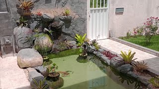 Lago ornamental, piscina natural _ Executado pela Miragem em Araruama RJ