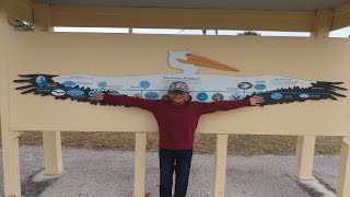 Sandfly Island| Gulf Coast Visitor Center| Everglades National Park|