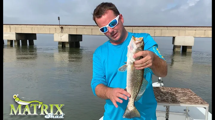 DockSide TV "Back on Track"