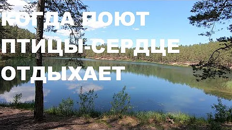 КРАСИВОЕ ПЕРЕЛИВЧАТОЕ ПЕНИЕ СЛАВКИ,ЕЙ ПОДПЕВАЕТ ХОР ЛЕСНЫХ ПТИЦ.КОГДА ПОЮТ ПТИЦЫ-СЕРДЦЕ РАДУЕТСЯ.