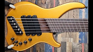 Dingwall Afterburner I 6-string with FD3 pickups, Neve preamp, Wenge neck, & Jam Pedals Ripple Falls