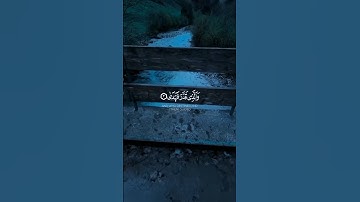 #القرآن_الكريم #قرآن #المصحف #تلاوة_خاشعة #ادريس_ابكر .