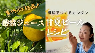 【自家製ピールの作り方】苦くならないピールのコツHow to make the best homemade sweet summer peel