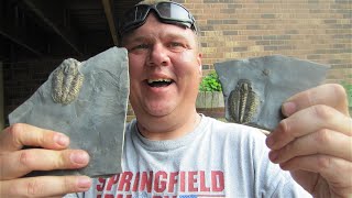 Cleaning Trilobites from U-Dig fossils