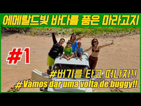 브라질 파워에이드 바다, 마라고지(Maragogi) 거기가 어딘데?