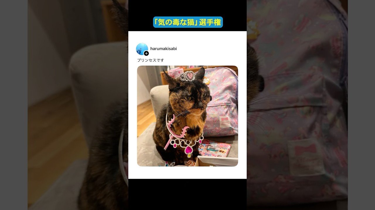 SNSでバズった投稿が面白すぎるww ㊻