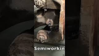 Wedge Bolt Removal