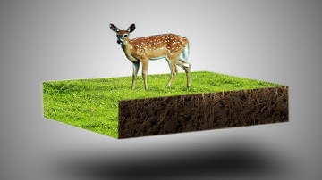 How to Create Glowing Lines on Portrait Image-Photoshop Easy Tutorial