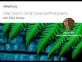 "5 Big Tips For Small Close-Up Photography" with Mike Moats