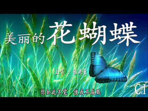 美丽的花蝴蝶 张洪量 你像只蝴蝶在天上飞 飞来飞去飞不到我身边 动态歌词 Butterfly Beautiful By Jeremy Chang Youtube