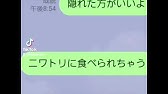 トゥイーティー 声真似 ねこたん こおろぎさとみ 日本語版 𝒯𝓌𝑒𝑒𝓉𝓎 モノマネ してみた 声優 歌 Youtube トゥイーティー 声真似 ねこたん こおろぎさとみ 日本語版 𝒯𝓌𝑒𝑒𝓉𝓎 モノマネ してみた 声優 歌 Youtube