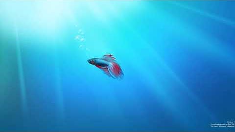 Install Windows 7 (Build 7000)