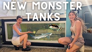 NEW MONSTER FISH Tanks at Atlas Aquarium!! (FULL TOUR)