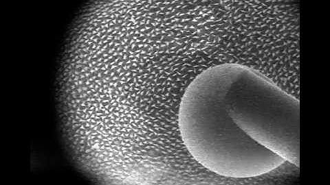 Micro Injection System for ESEM
