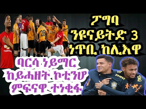 ቪዲዮ: የኔዘርላንድስ እግር ኳስ ሻምፒዮና 2018-2019 ውጤቶች