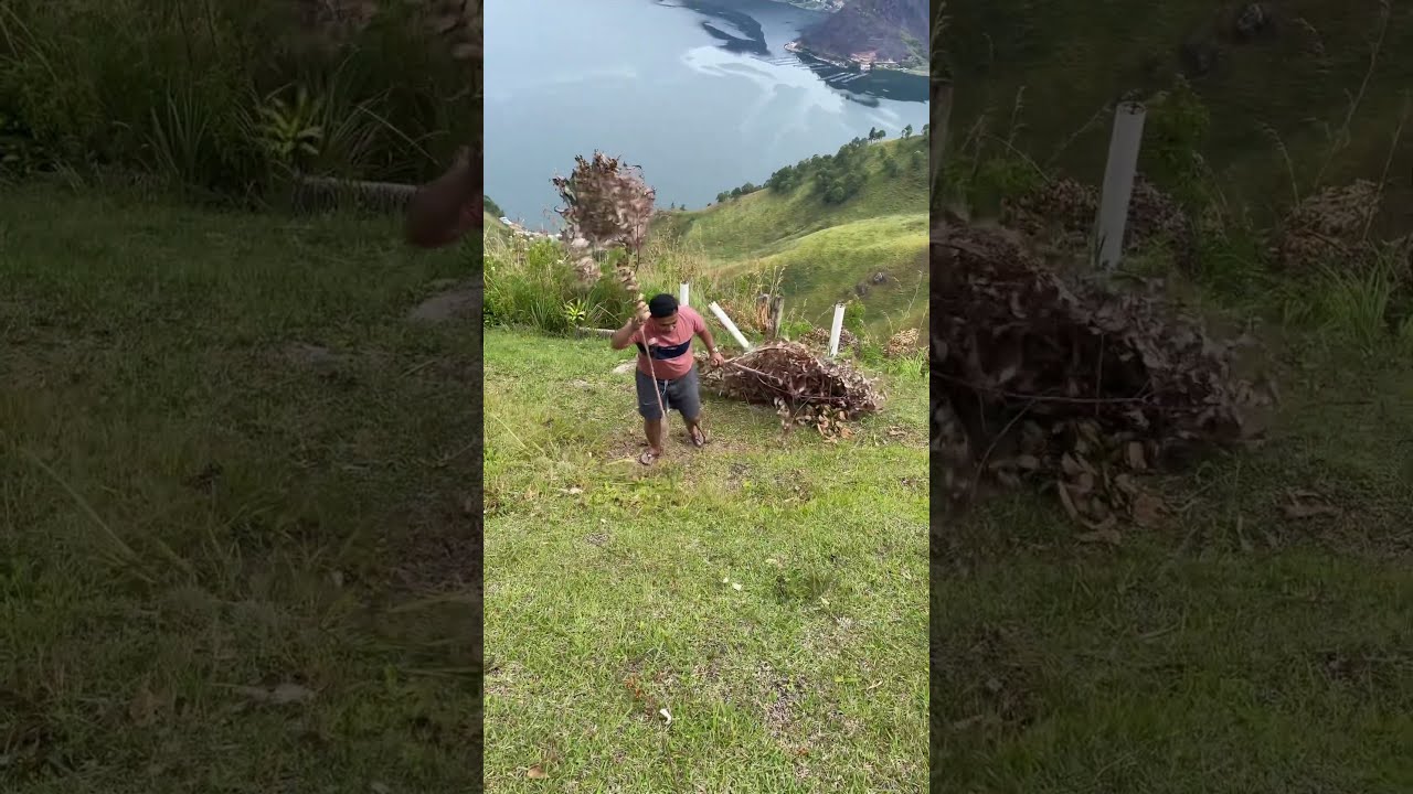 Looking for Firewood for Cooking on the Shores of Lake Toba