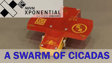 A Swarm of Cicadas