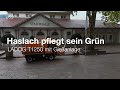 LADOG T1250 | Haslach pflegt sein Grün