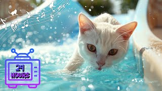 24 HOURS of Music For Cats Relief Stress! Soothing Cat Therapy Music, Peaceful Relax Music #17 by Dream Relax My Cat 1,011 views 1 day ago 24 hours