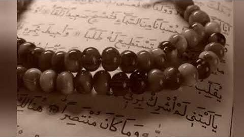 سورة التكاثر _ محمود عبدالحكم