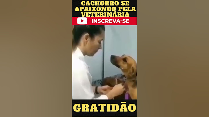 VEJA A REAÇÃO DO CACHORRO ENQUANTO A VETERINÁRIA CUIDAVA DELE #shorts