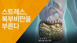 Stress Causes Abdominal Obesity - (Broadcast Episode 662, 09/12/2018) Belly Fat, It's Targeting You!