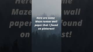 Here are some Maze runner wallpapers that I found on pinterest!
