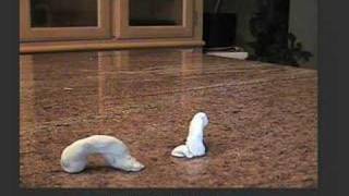Morph