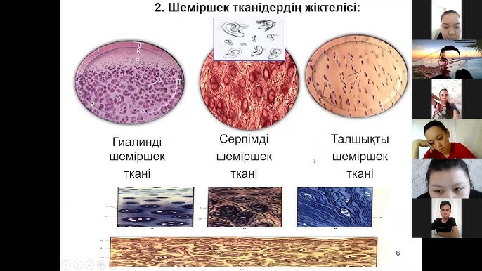 Bulyi трахает қара әйел онлайн порно Мөлдір трусики астындағы кисканың фотосы