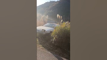 Broken & abandoned Toyota Trueno AE86 #initiald #shorts #AE86