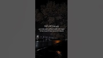 #محمد_اللحيدان #اكسبلور #المصحف #قرآن #قرآن #رمضان #تلاوة_خاشعة #راحة_نفسية #لايك #القارئ #الرحمن