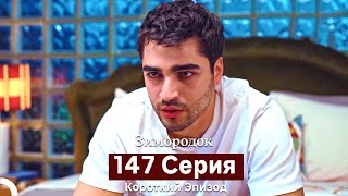 Зимородок 147 Cерия (Короткий Эпизод) (Русский Дубляж)