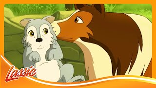 🐺 Zoe & Lassie Save the Little Wolf Cub! | The New Adventures of Lassie | Cartoons For Kids