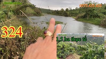 Video số 324 bán 1,5 ha view hồ giá 1 tỷ 3 cà dây đẹp 0975435435
