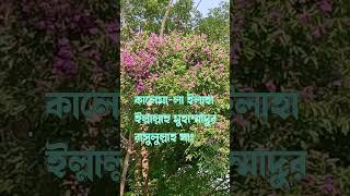 কালেমা-লা ইলাহা ইল্লাল্লাহু মুহাম্মাদুর রাসুলুল্লাহ #shorts
