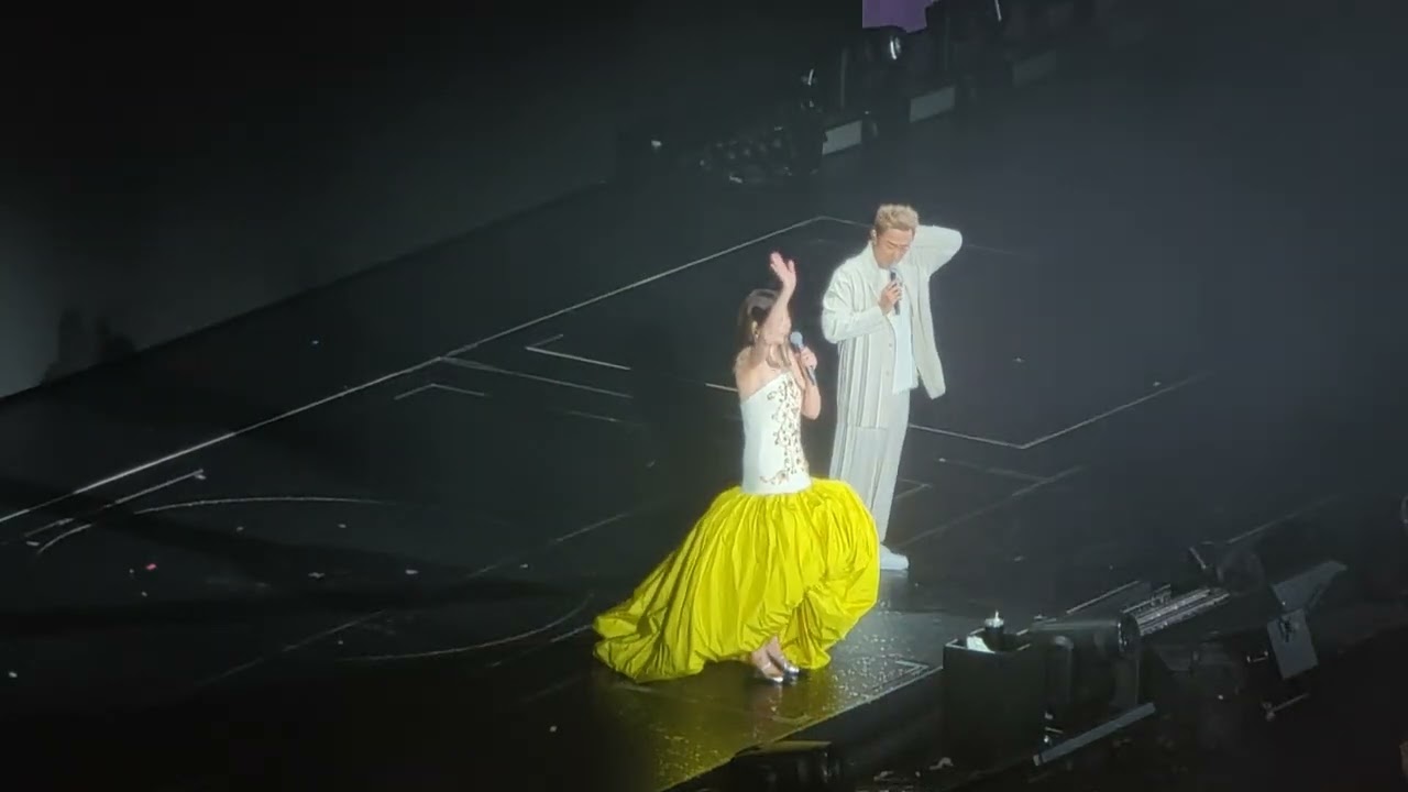 陳慧琳kelly演唱會 再生花 第三場表演嘉賓林峯-愛在記憶中找你