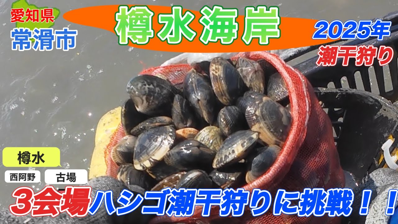 3kgのアサリは採れるのか？最後に想定外の障壁が、。
