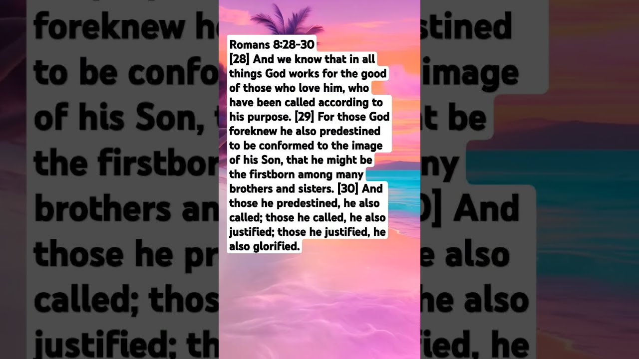 Romans 8 28 30 Bibleverse Motivation 99psalms9 Lawofattraction Biblepassage Psalm100 Prayer