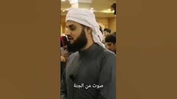 تلاوة هادئة تفوق الخيال لا توصف